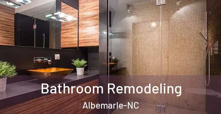 inner Bathroom imggen Bathroom Remodeling Albemarle-NC