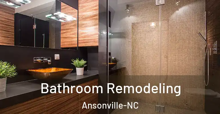 inner Bathroom imggen Bathroom Remodeling Ansonville-NC