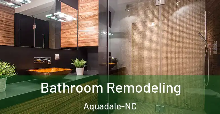 inner Bathroom imggen Bathroom Remodeling Aquadale-NC