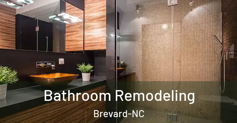 inner Bathroom imggen Bathroom Remodeling Brevard-NC