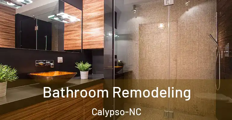 inner Bathroom imggen Bathroom Remodeling Calypso-NC