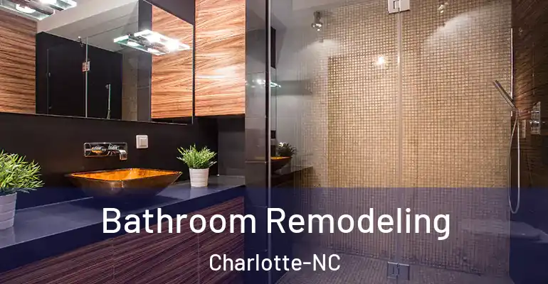 inner Bathroom imggen Bathroom Remodeling Charlotte-NC