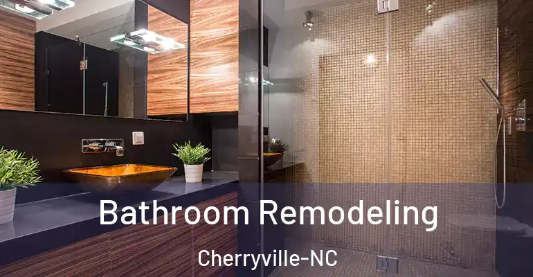 inner Bathroom imggen Bathroom Remodeling Cherryville-NC