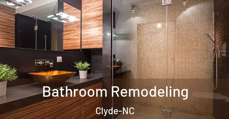 inner Bathroom imggen Bathroom Remodeling Clyde-NC