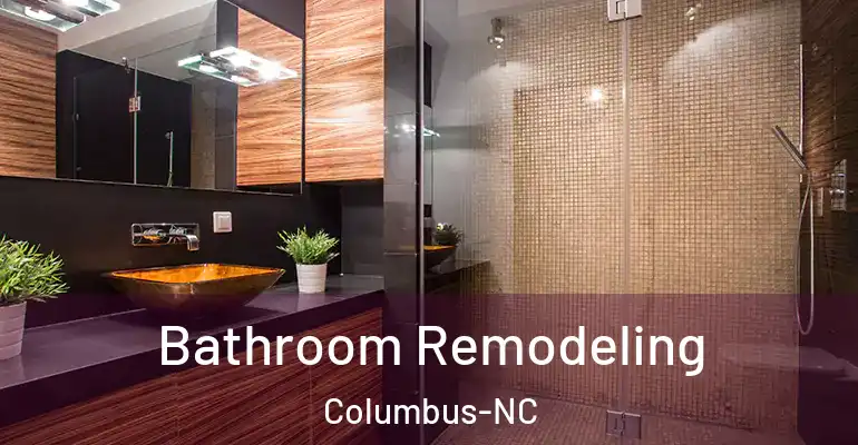 inner Bathroom imggen Bathroom Remodeling Columbus-NC
