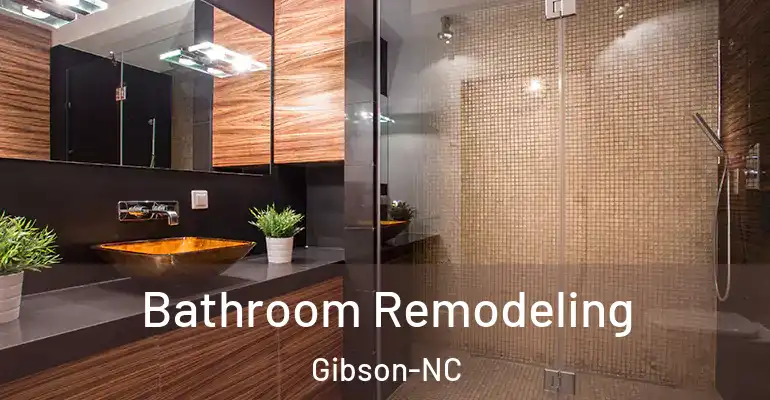 inner Bathroom imggen Bathroom Remodeling Gibson-NC