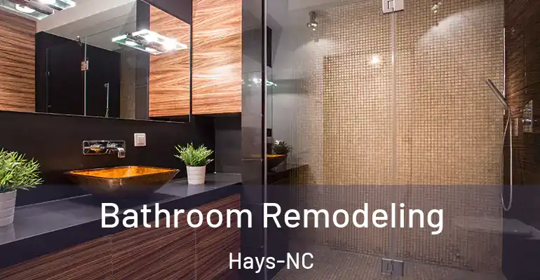 inner Bathroom imggen Bathroom Remodeling Hays-NC