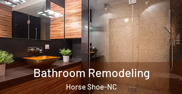 inner Bathroom imggen Bathroom Remodeling Horse Shoe-NC