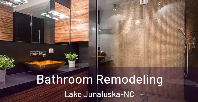 inner Bathroom imggen Bathroom Remodeling Lake Junaluska-NC