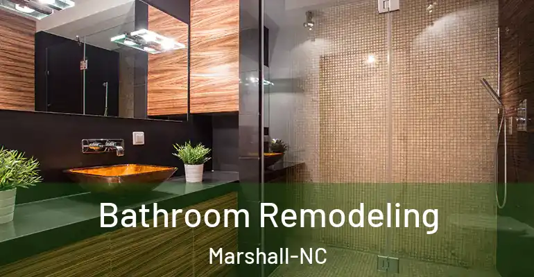 inner Bathroom imggen Bathroom Remodeling Marshall-NC