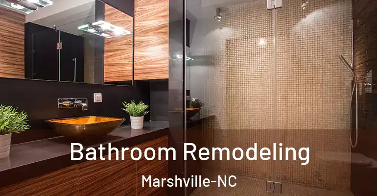 inner Bathroom imggen Bathroom Remodeling Marshville-NC