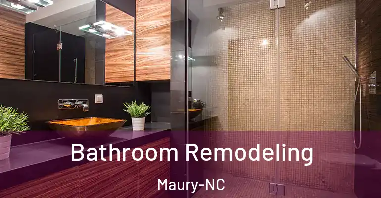 inner Bathroom imggen Bathroom Remodeling Maury-NC
