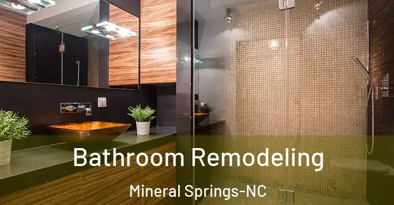 inner Bathroom imggen Bathroom Remodeling Mineral Springs-NC