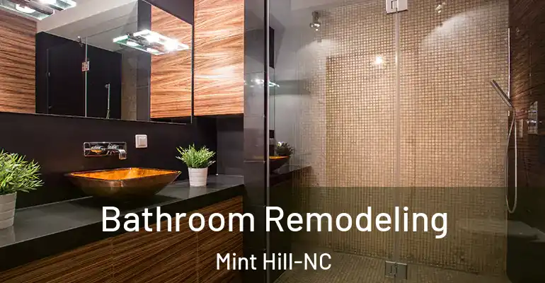inner Bathroom imggen Bathroom Remodeling Mint Hill-NC