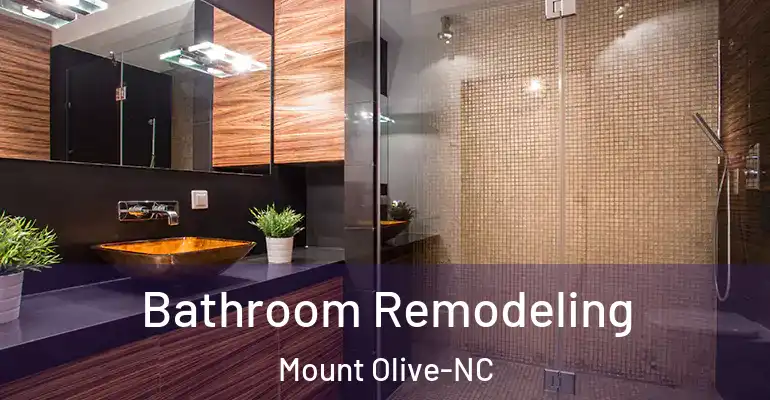 inner Bathroom imggen Bathroom Remodeling Mount Olive-NC