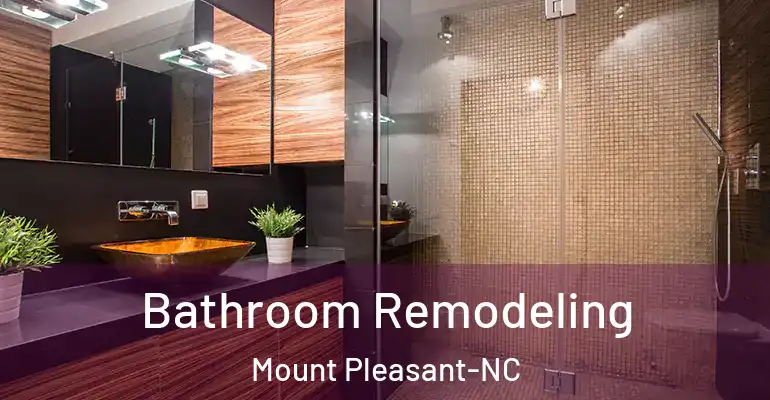 inner Bathroom imggen Bathroom Remodeling Mount Pleasant-NC