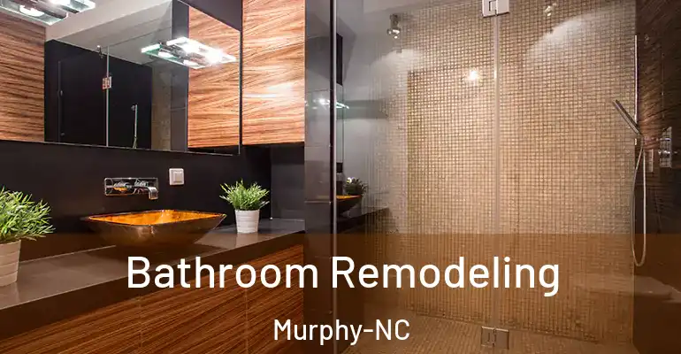 inner Bathroom imggen Bathroom Remodeling Murphy-NC