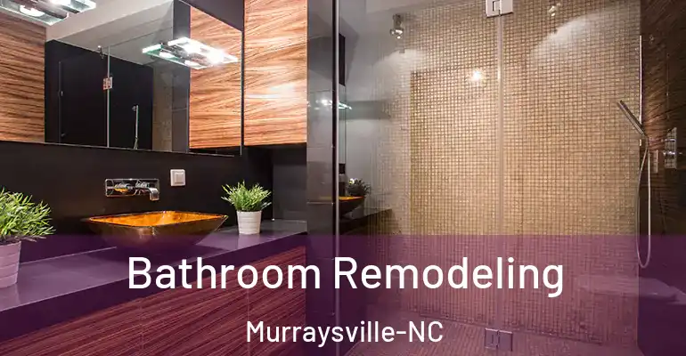 inner Bathroom imggen Bathroom Remodeling Murraysville-NC