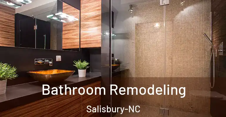 inner Bathroom imggen Bathroom Remodeling Salisbury-NC