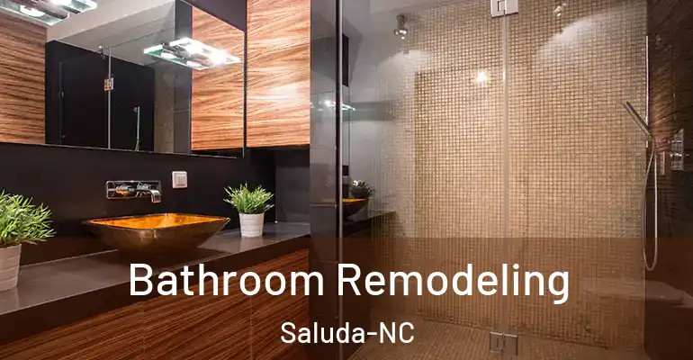 inner Bathroom imggen Bathroom Remodeling Saluda-NC