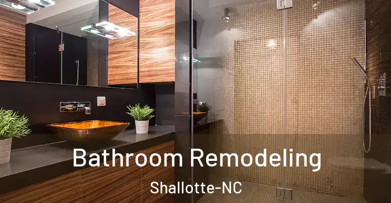inner Bathroom imggen Bathroom Remodeling Shallotte-NC