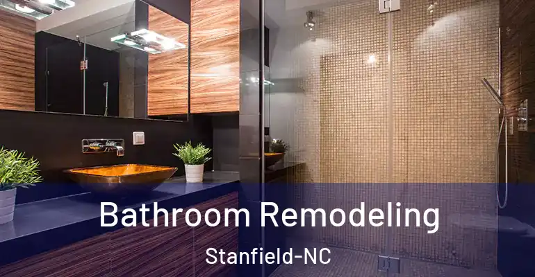 inner Bathroom imggen Bathroom Remodeling Stanfield-NC