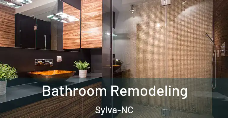 inner Bathroom imggen Bathroom Remodeling Sylva-NC