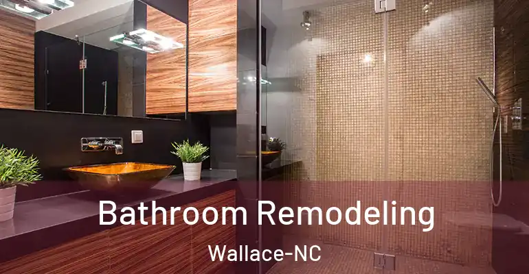 inner Bathroom imggen Bathroom Remodeling Wallace-NC