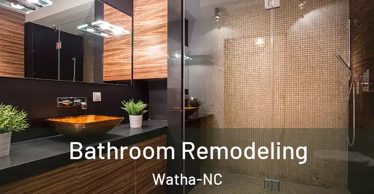 inner Bathroom imggen Bathroom Remodeling Watha-NC