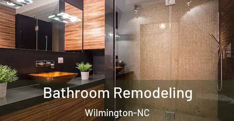 inner Bathroom imggen Bathroom Remodeling Wilmington-NC
