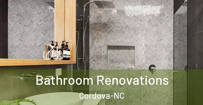 inner Bathroom imggen Bathroom Renovations Cordova-NC