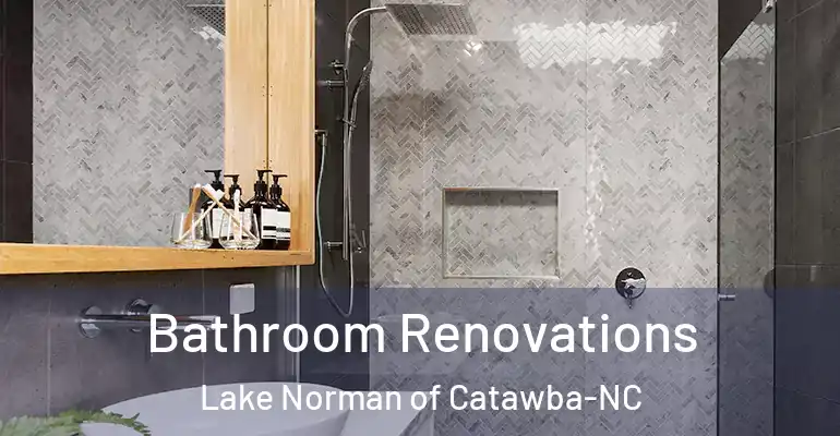 inner Bathroom imggen Bathroom Renovations Lake Norman of Catawba-NC