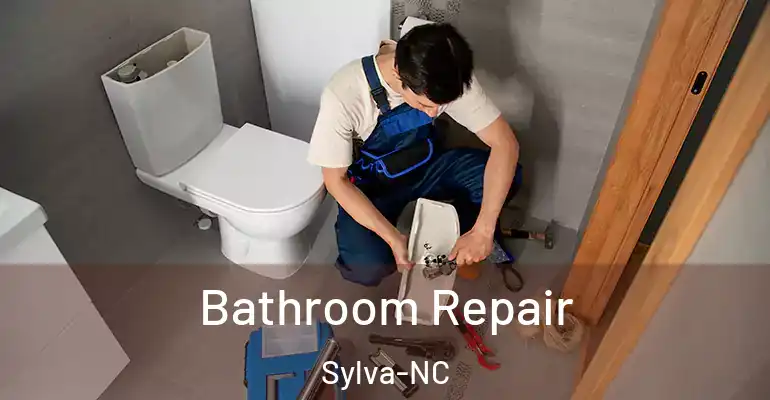 inner Bathroom imggen Bathroom Repair Sylva-NC