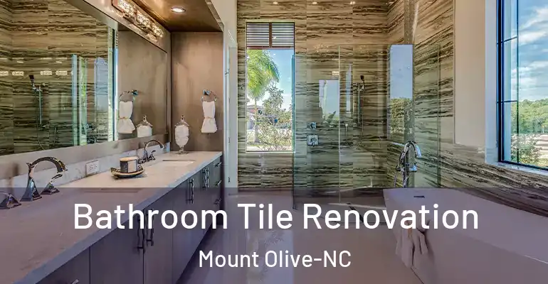 inner Bathroom imggen Bathroom Tile Renovation Mount Olive-NC