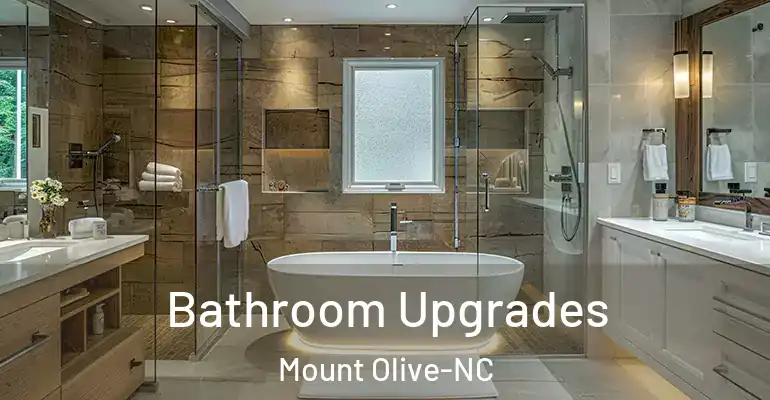 inner Bathroom imggen Bathroom Upgrades Mount Olive-NC