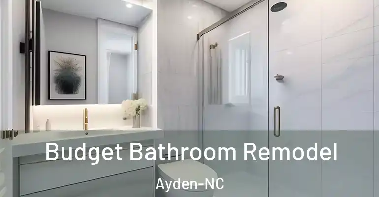 inner Bathroom imggen Budget Bathroom Remodel Ayden-NC