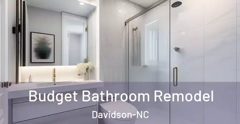 inner Bathroom imggen Budget Bathroom Remodel Davidson-NC
