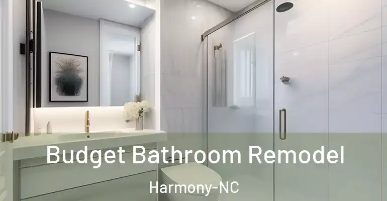 inner Bathroom imggen Budget Bathroom Remodel Harmony-NC