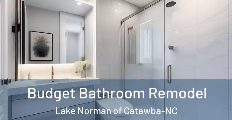 inner Bathroom imggen Budget Bathroom Remodel Lake Norman of Catawba-NC