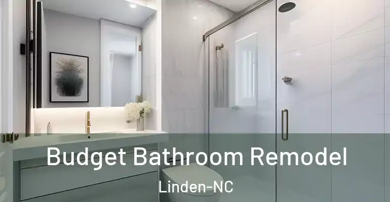 inner Bathroom imggen Budget Bathroom Remodel Linden-NC