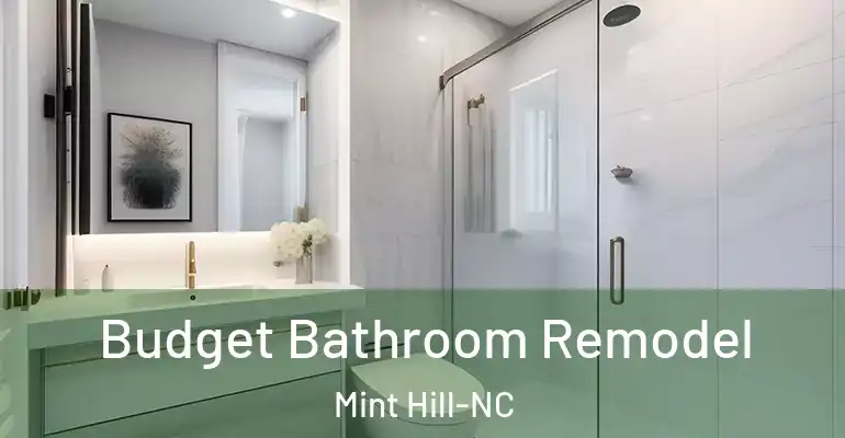 inner Bathroom imggen Budget Bathroom Remodel Mint Hill-NC