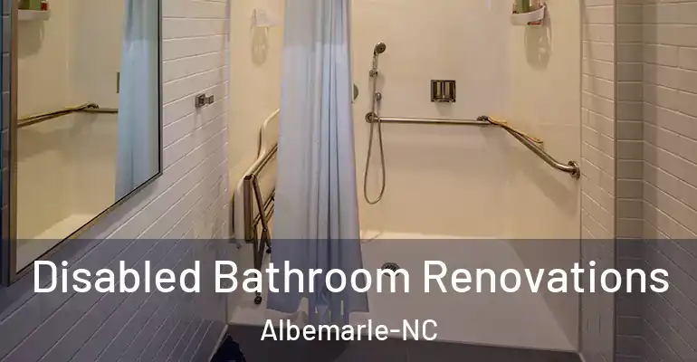 inner Bathroom imggen Disabled Bathroom Renovations Albemarle-NC