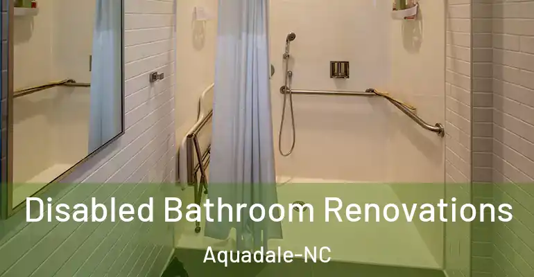 inner Bathroom imggen Disabled Bathroom Renovations Aquadale-NC