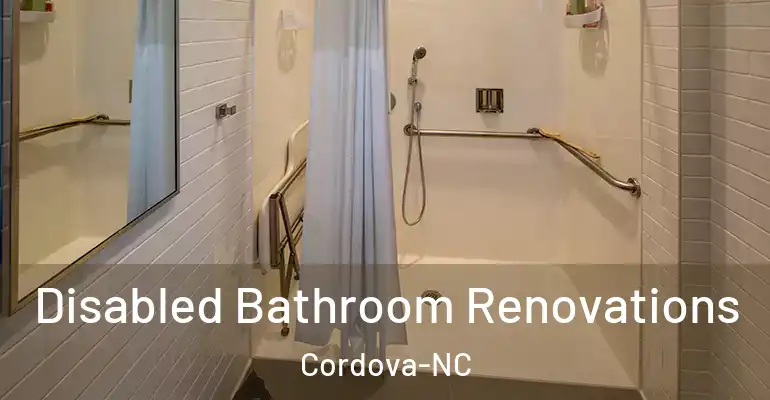inner Bathroom imggen Disabled Bathroom Renovations Cordova-NC