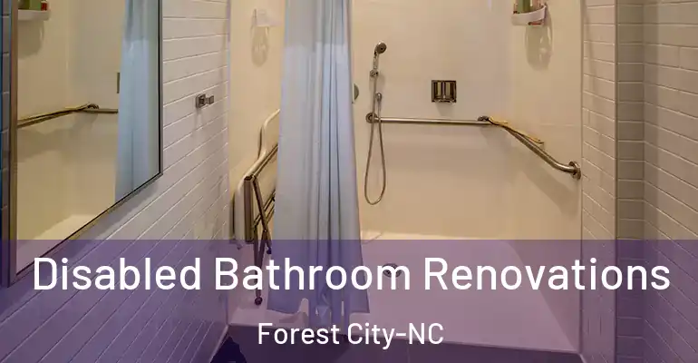 inner Bathroom imggen Disabled Bathroom Renovations Forest City-NC
