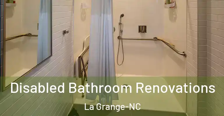 inner Bathroom imggen Disabled Bathroom Renovations La Grange-NC