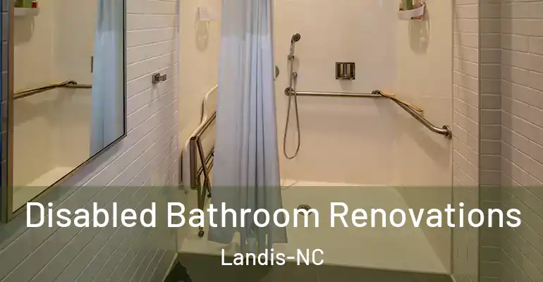 inner Bathroom imggen Disabled Bathroom Renovations Landis-NC