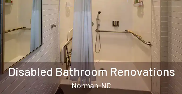 inner Bathroom imggen Disabled Bathroom Renovations Norman-NC