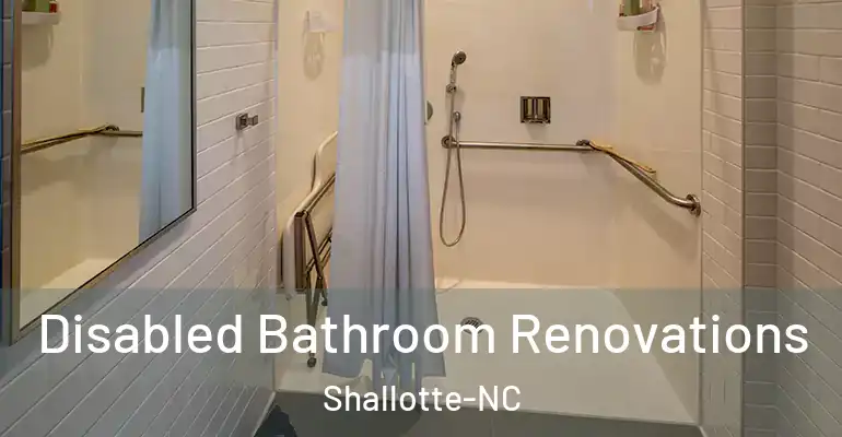 inner Bathroom imggen Disabled Bathroom Renovations Shallotte-NC
