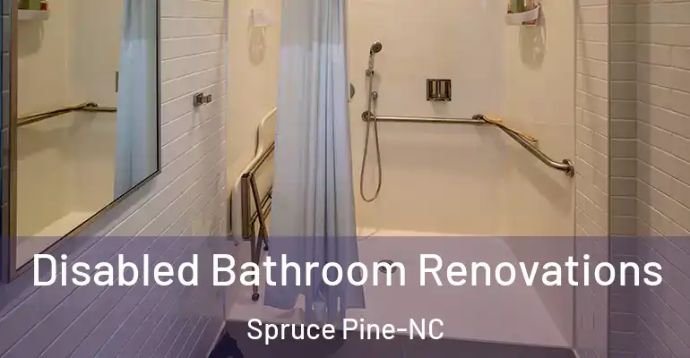 inner Bathroom imggen Disabled Bathroom Renovations Spruce Pine-NC
